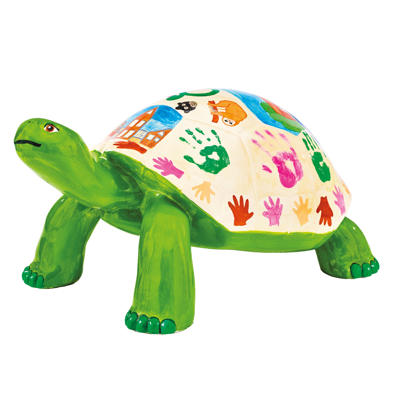 Young Tortoises Tortoise Takeover