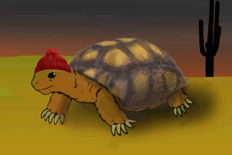 How Cold is Too Cold For a Desert Tortoise? Tortoise Expert