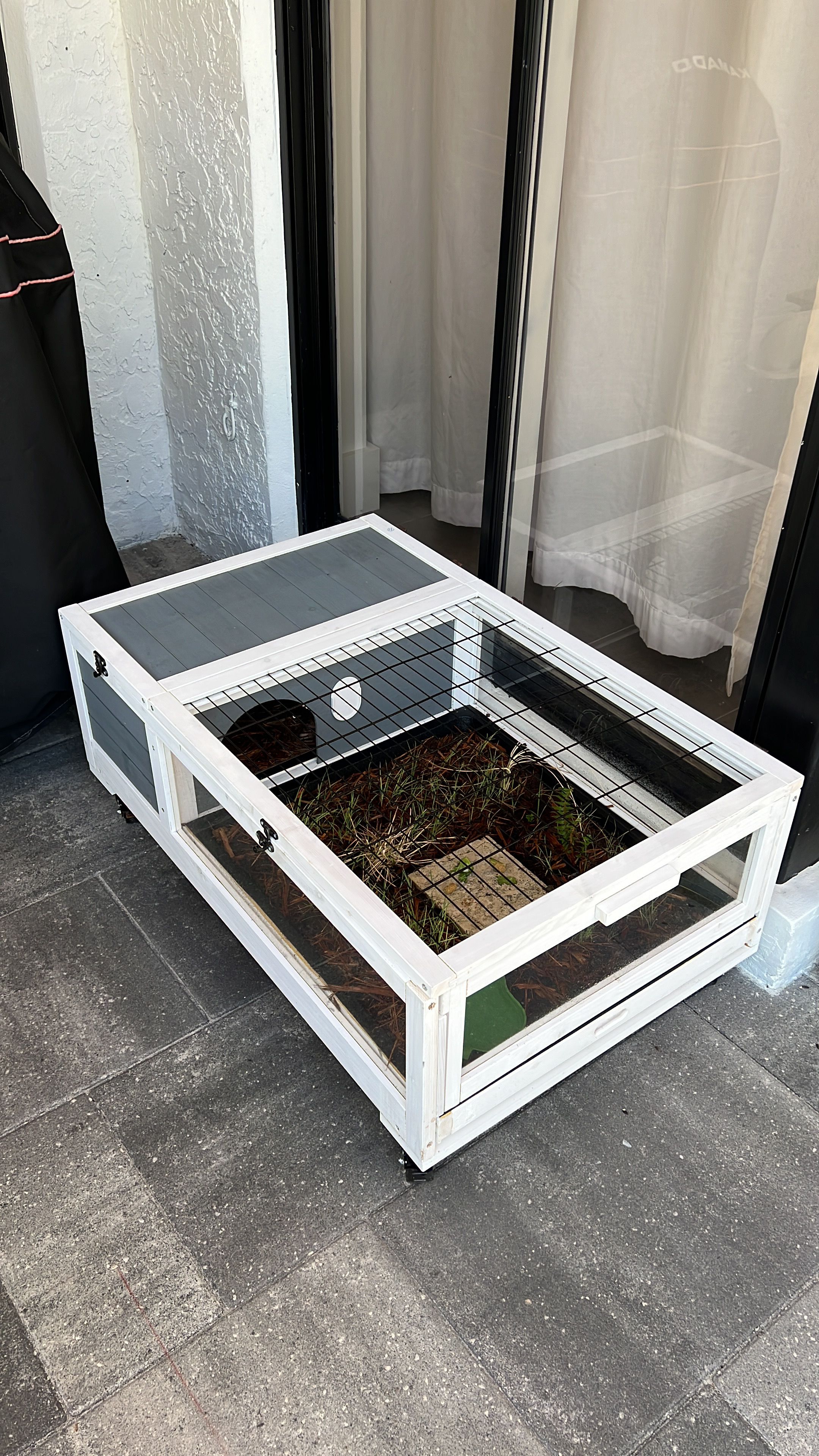 Outdoor enclosure Tortoise Forum