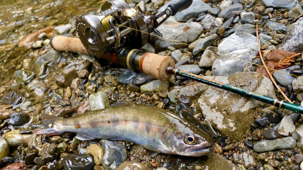 【解禁日必見】秋川の渓流釣りポイントを解説。