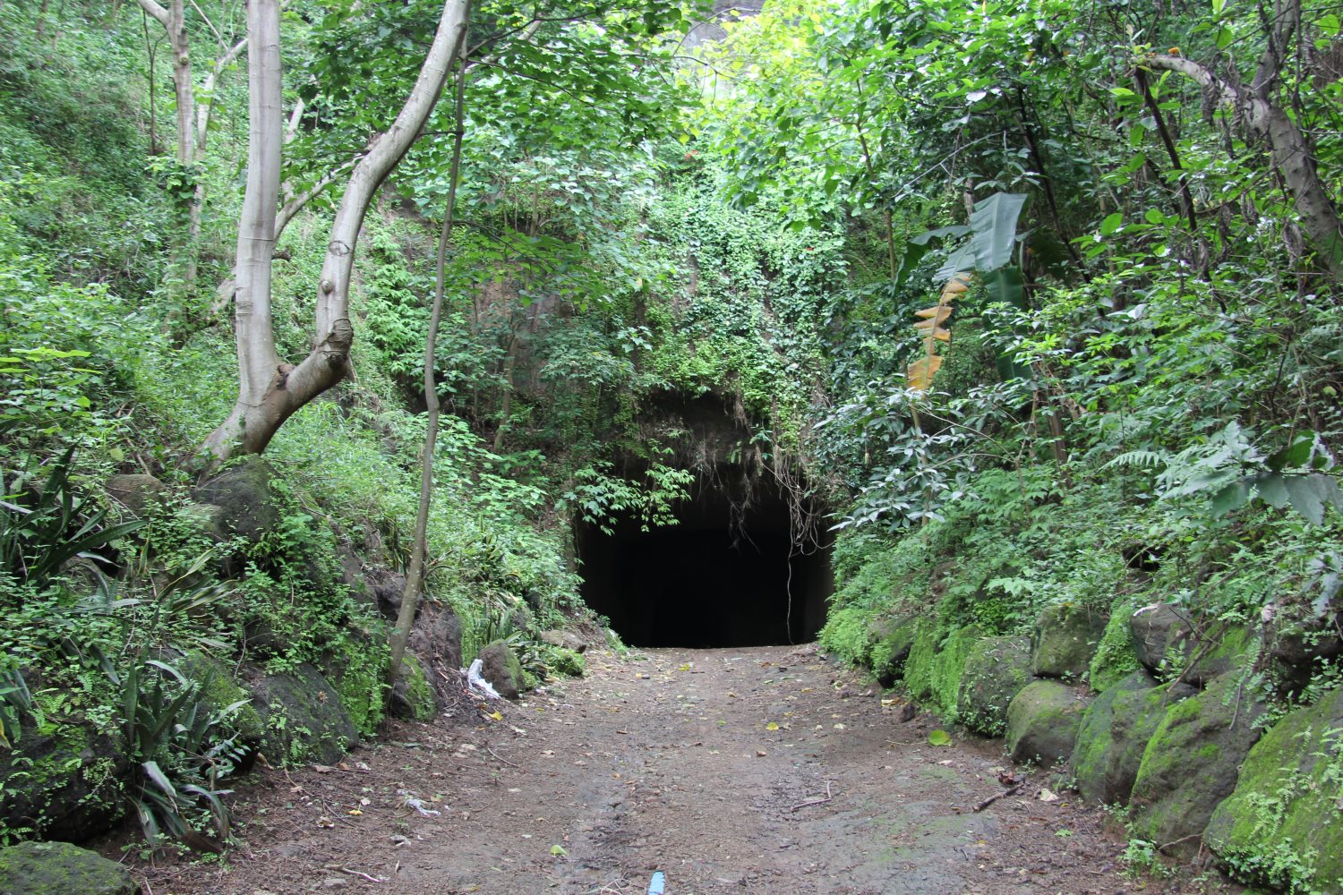 Angono Petroglyphs, Binangonan, Rizal, Philippines