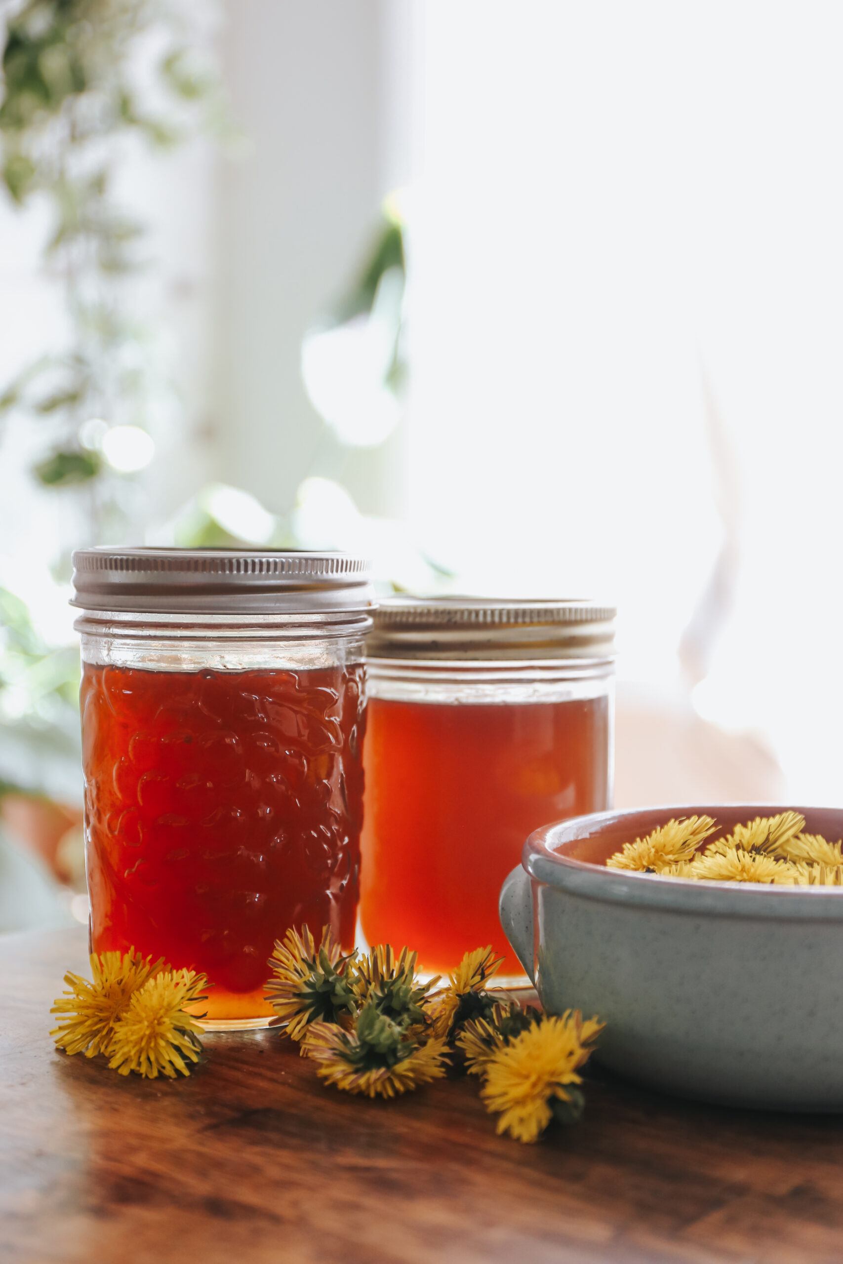 10 WAYS TO HOMESTEAD IN THE CITY Tory Stender