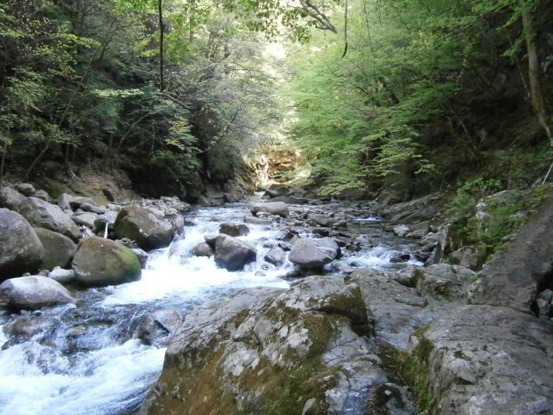 IoTルアーか～なんか凄いところまできたな 根掛りが怖くて投げられなそうだけど TOSHIOMANが釣る