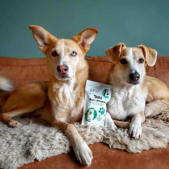 Toshi Pets 100 natural dog biscuits with Omega3