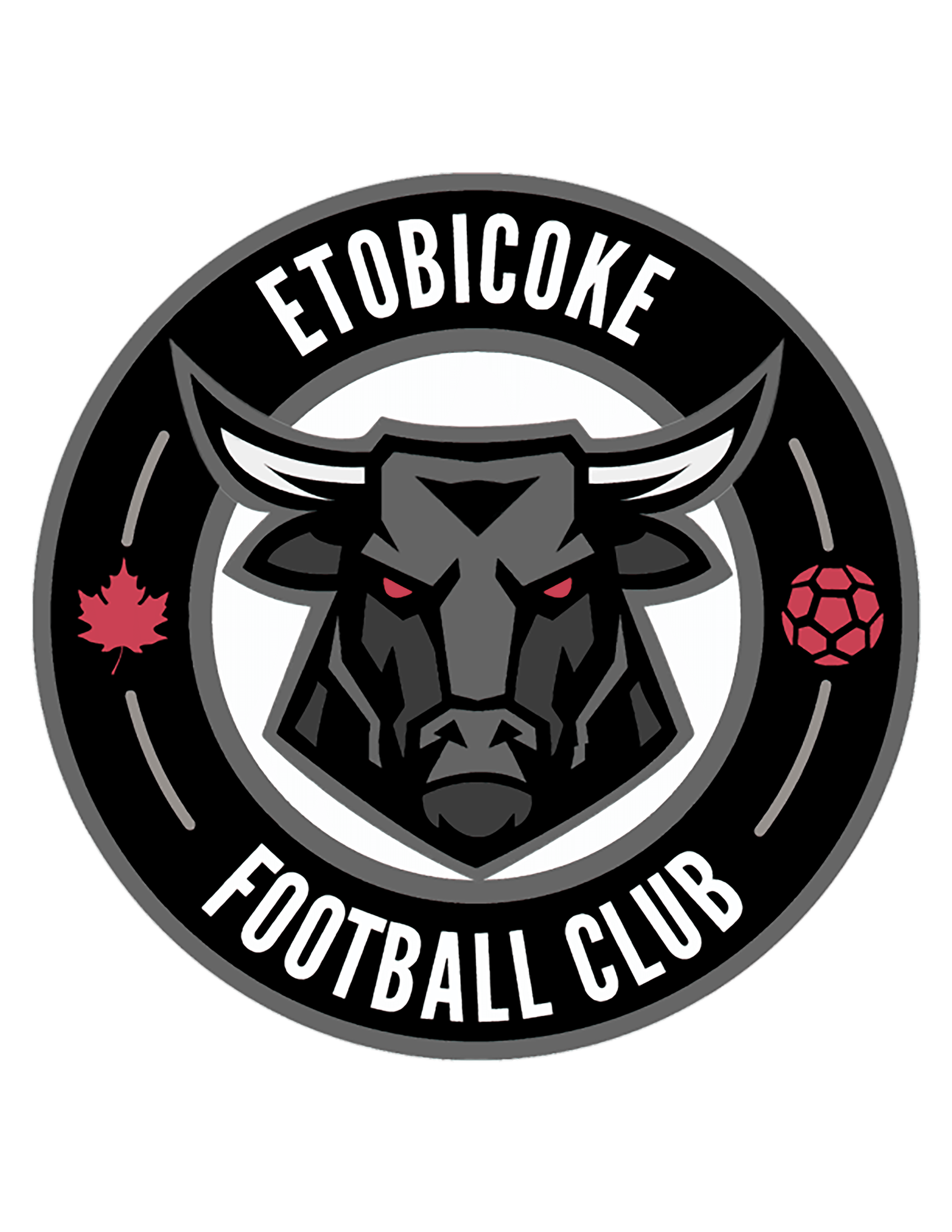 T.O. Soccer League T.O. Soccer League