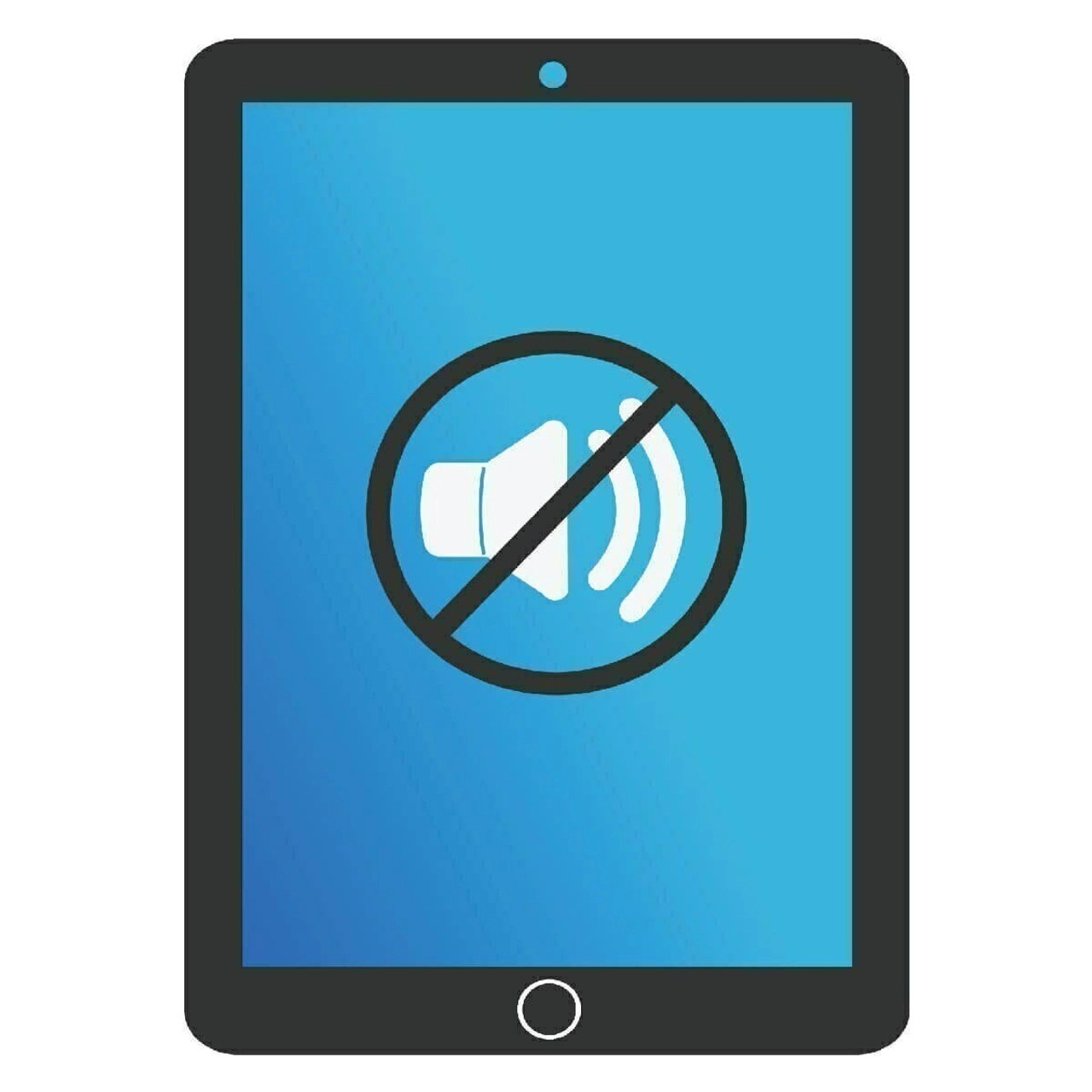 iPad 3 Speaker Problem TotalCare