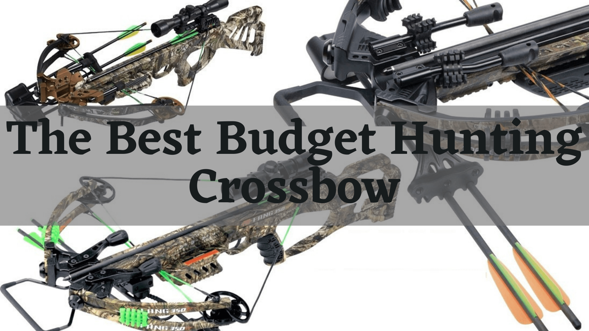 The Best Budget Crossbows For Hunting (2021 Edition