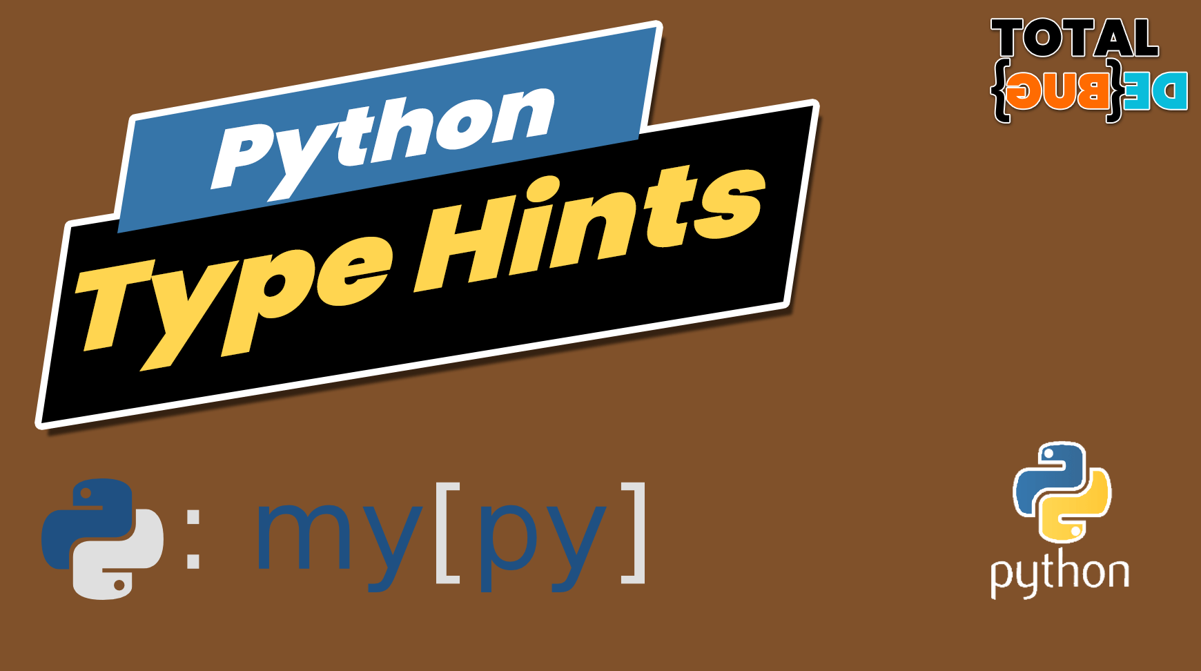 Type hinting and checking in Python TotalDebug