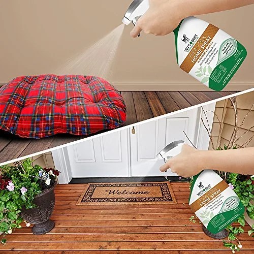 Best Flea Bomb Reviews 2023