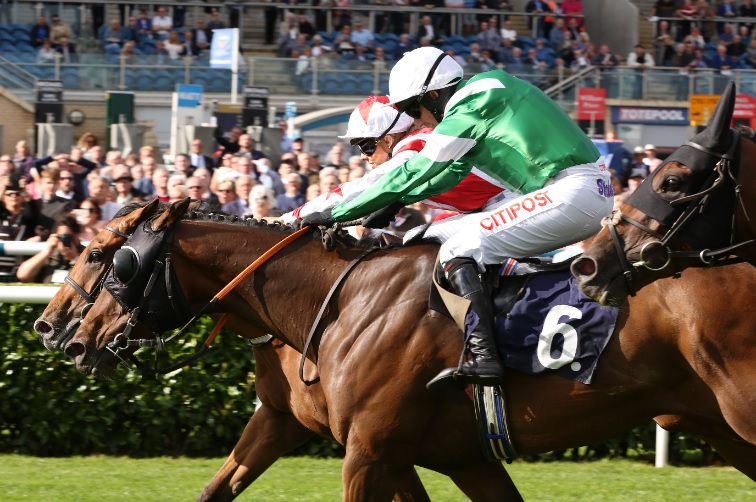 Doncaster Racecourse A look back at 2020 St Leger Day Total Horse