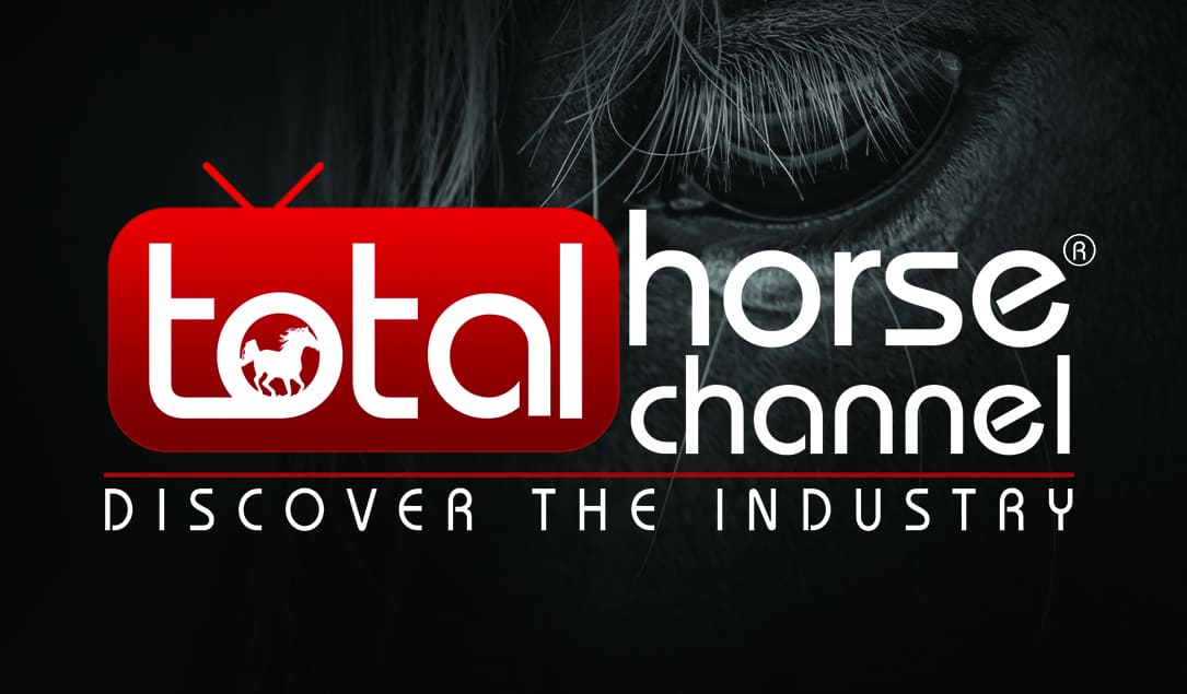 How to watch the biggest horse races and sporting events online