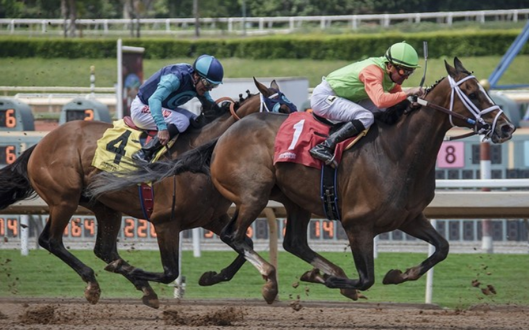 When Will Horse Racing Return? Total Horse Channel Equestrian TV