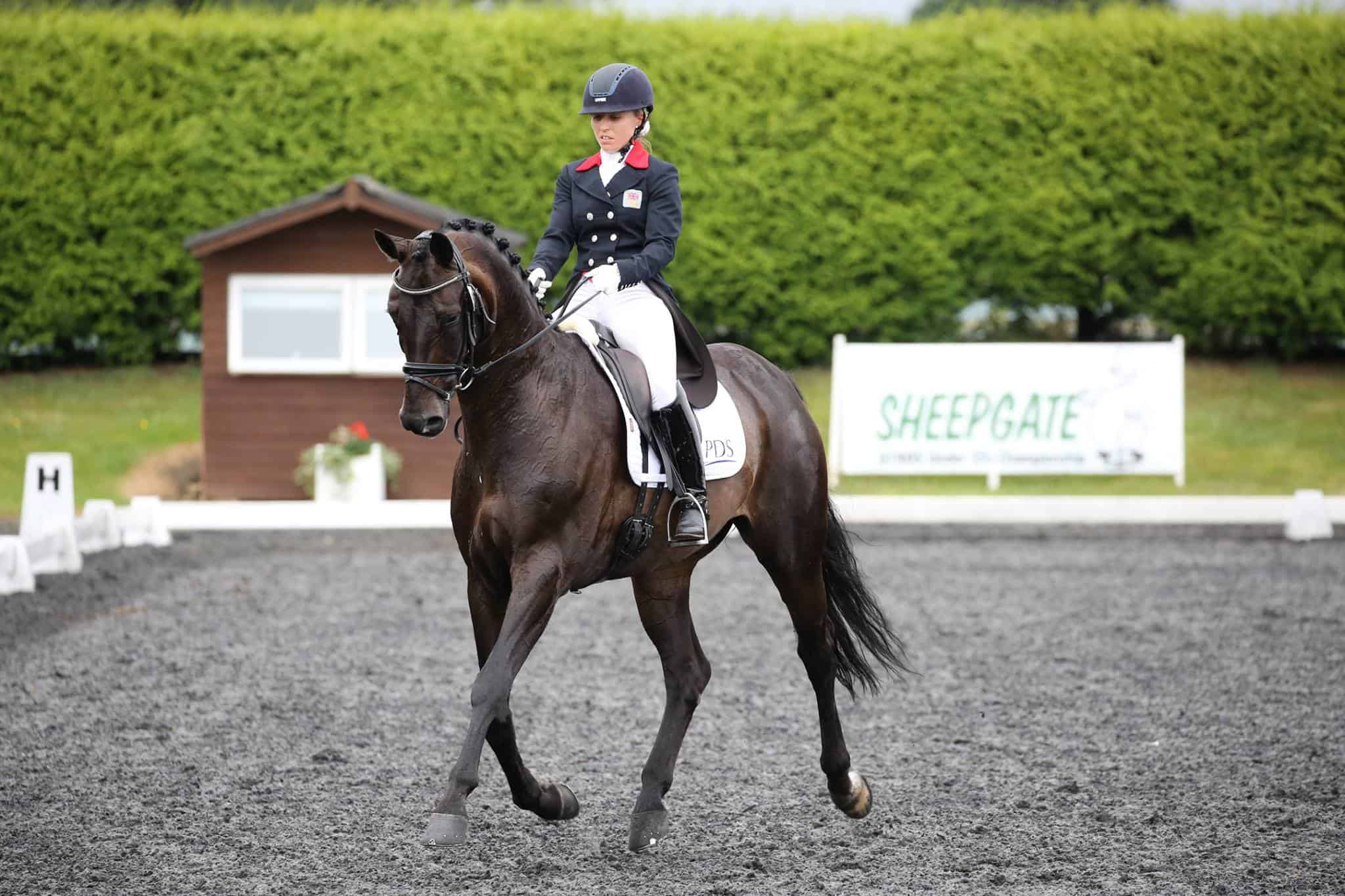 Tack and Togs Championship Dressage LIVE Total Horse Channel