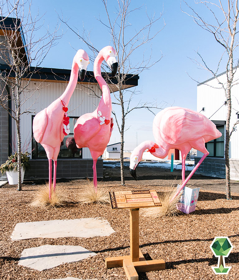 Franz Witte Shares Affordable And EasyTo Care For Plants To Purchase