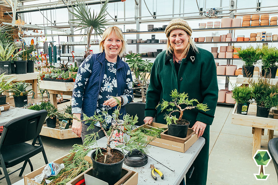 Franz Witte Shares Affordable And EasyTo Care For Plants To Purchase