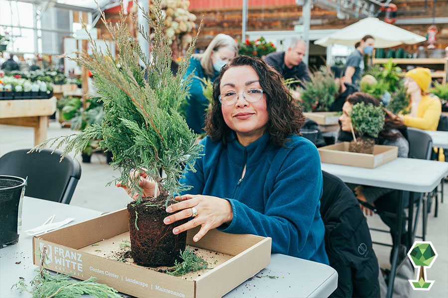 Franz Witte Shares Affordable And EasyTo Care For Plants To Purchase