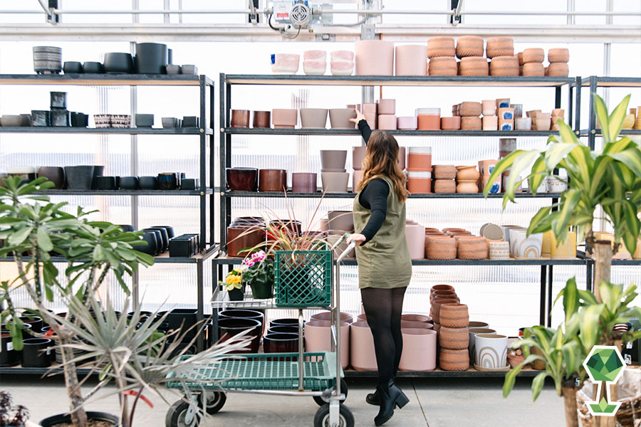 Franz Witte Shares Affordable And EasyTo Care For Plants To Purchase