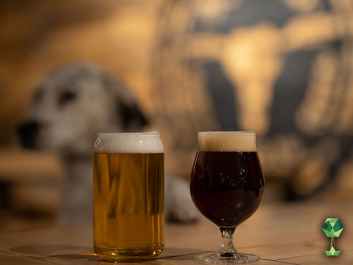 4 Ways to Spend Palentine’s Day In Boise Totally Boise