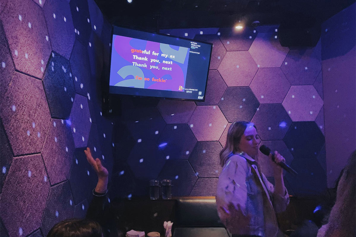 Voicebox Karaoke Downtown Party Local Business Totally Boise