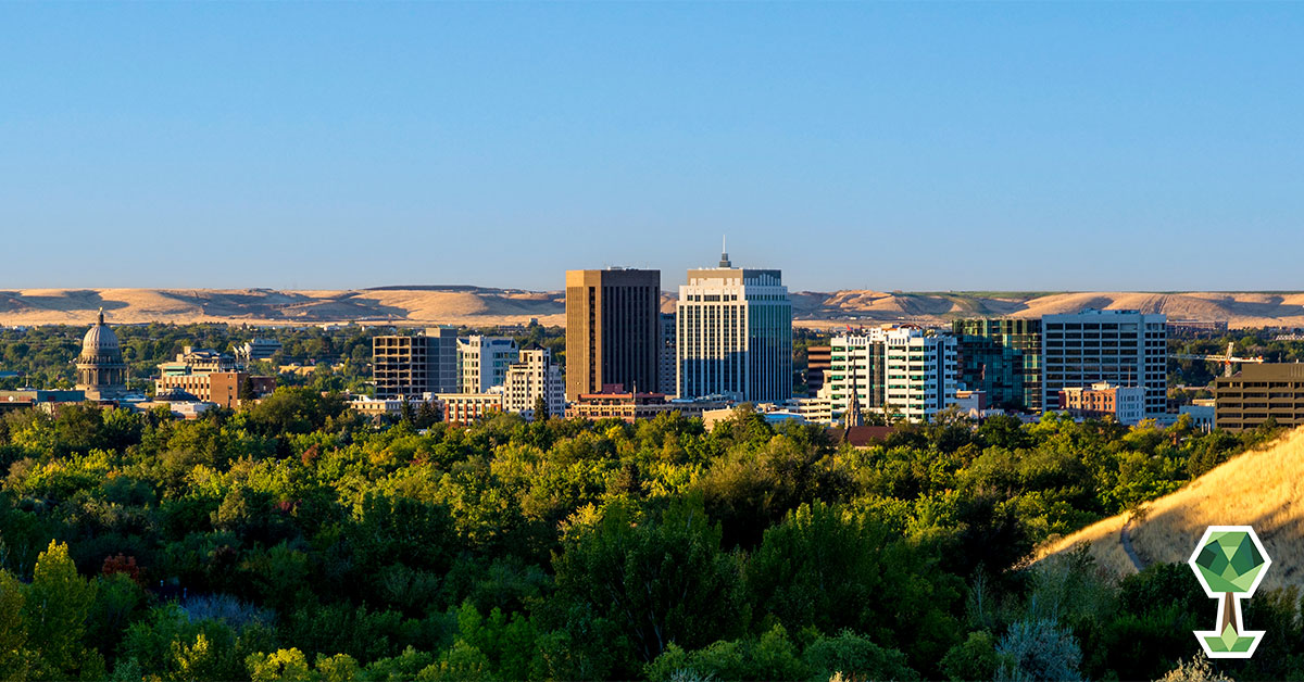 Boise’s Newest Environmental Nonprofit Treasure Valley Canopy Network