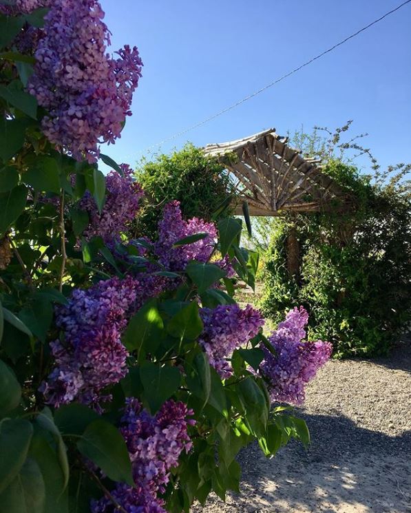 There is a pick your own flower farm in Idaho that will take your