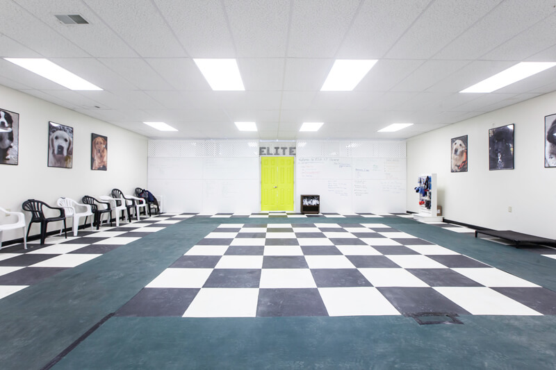 Totally Dog Dog Store Dog Products