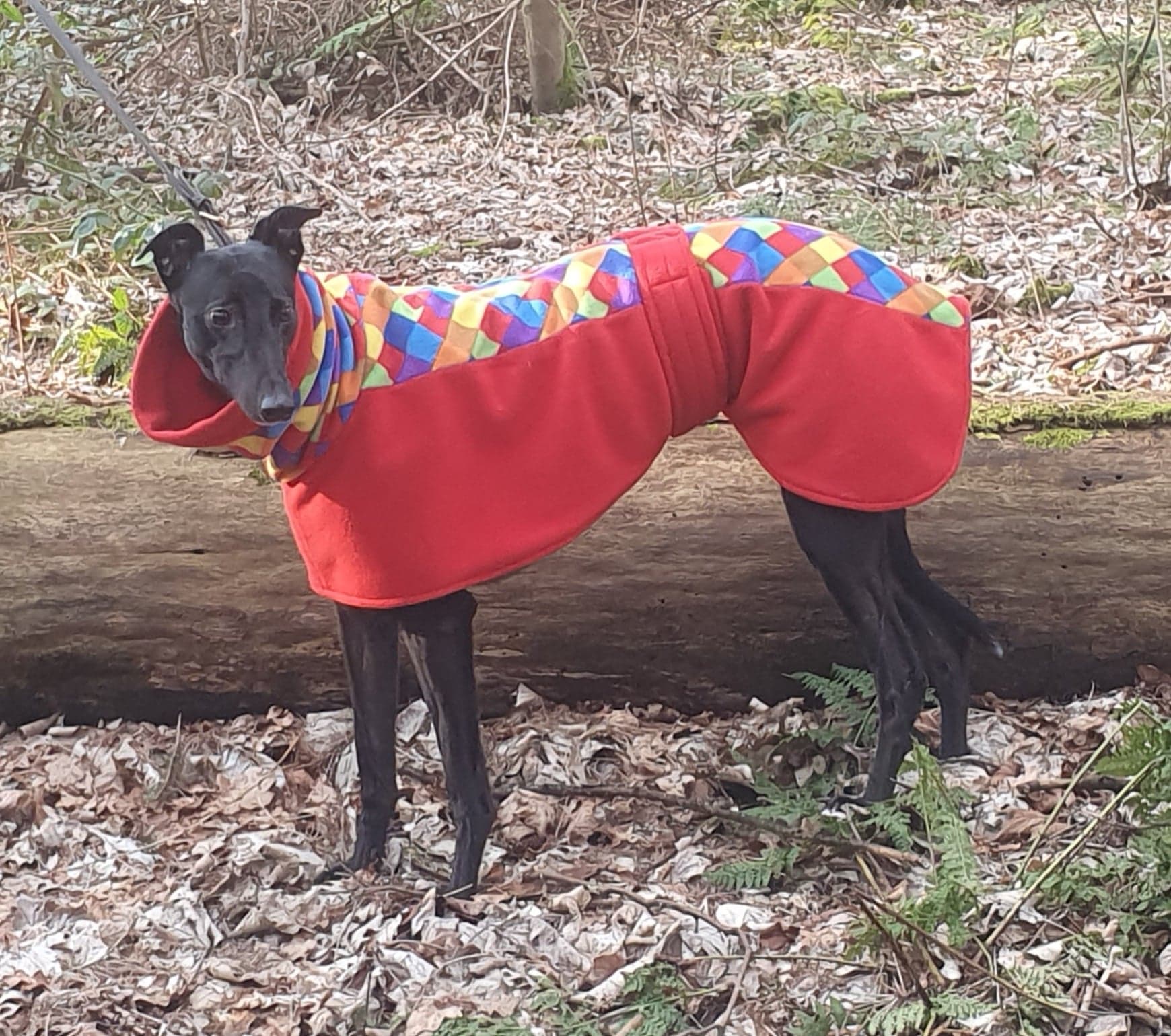 Totally Greyhound Fleece Coat. The Heathlawn Collection. Regular Fit