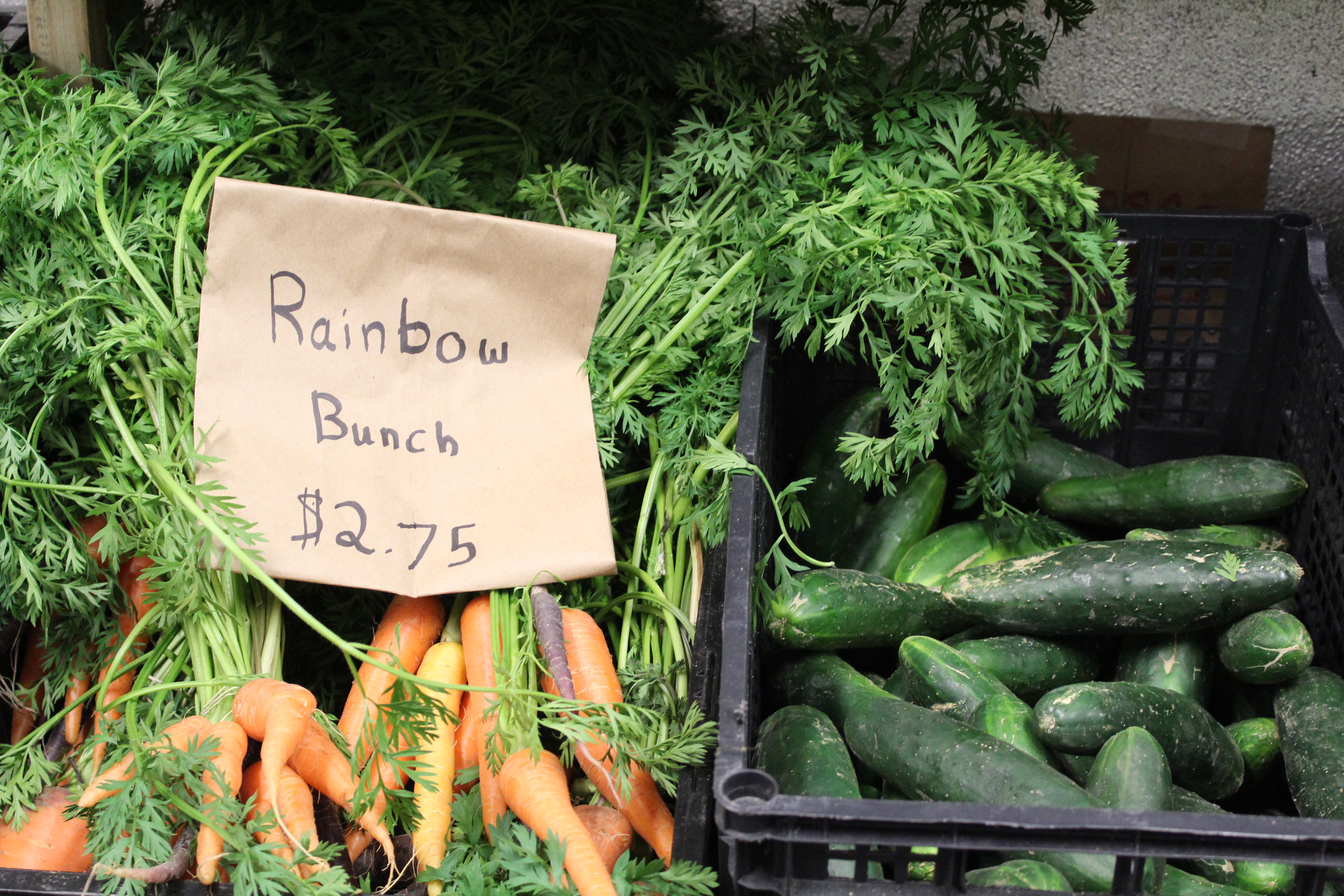 SIX farmers markets in St. Augustine & St. Johns County Totally St