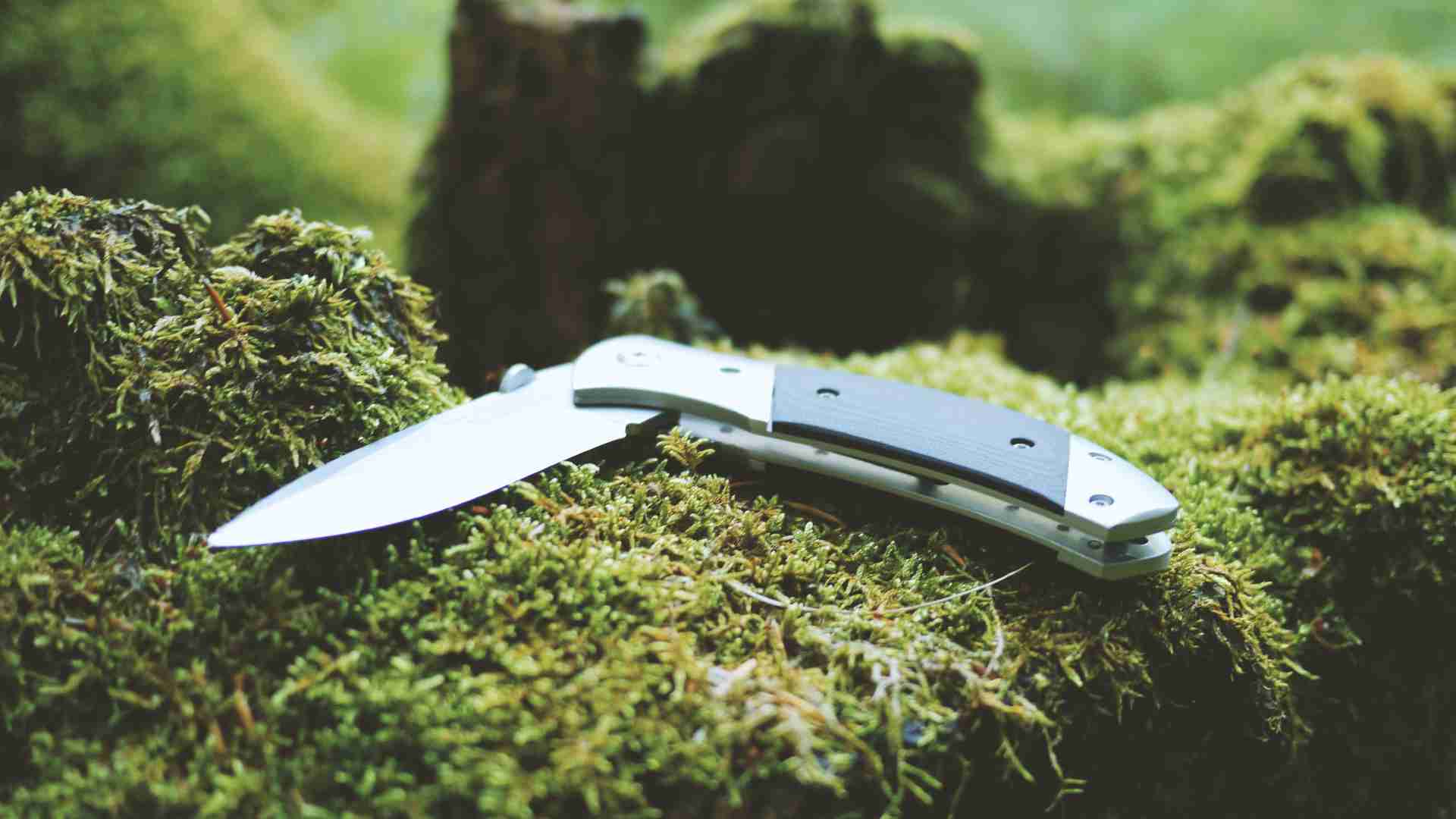 Best Survival Pocket Knives 2021 Reviews & Buyer’s Guide