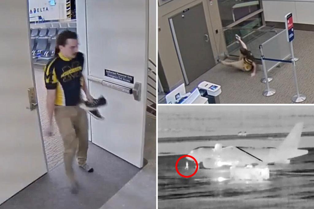 New video shows final moments of man who died after climbing into plane