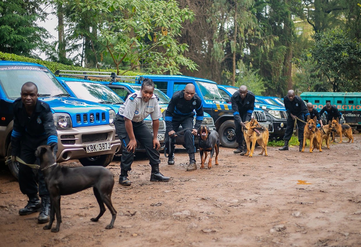 Total Security Surveillance Kenya