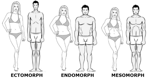 Endomorph Mesomorph Or Ectomorph The 3 Body Types Explained