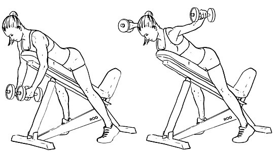 11 Exercises That Will Help Build Wider Shoulders (2019 Upd.)
