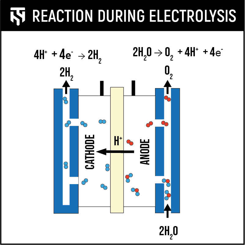 Electrolyzer and Hydrogen Fuel Cell Safety TotalShield