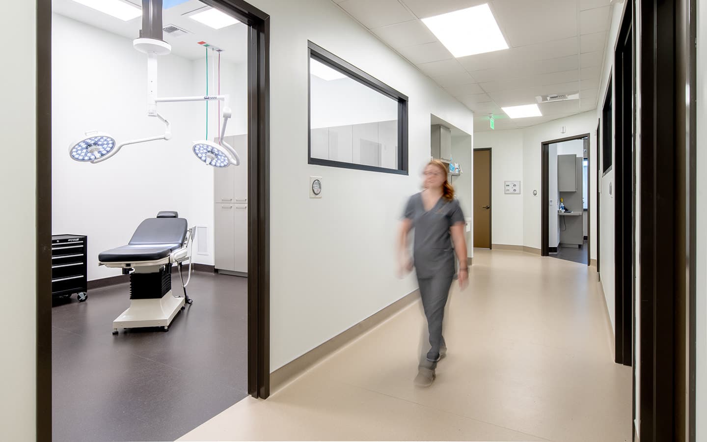 About Us Total Stem Cell