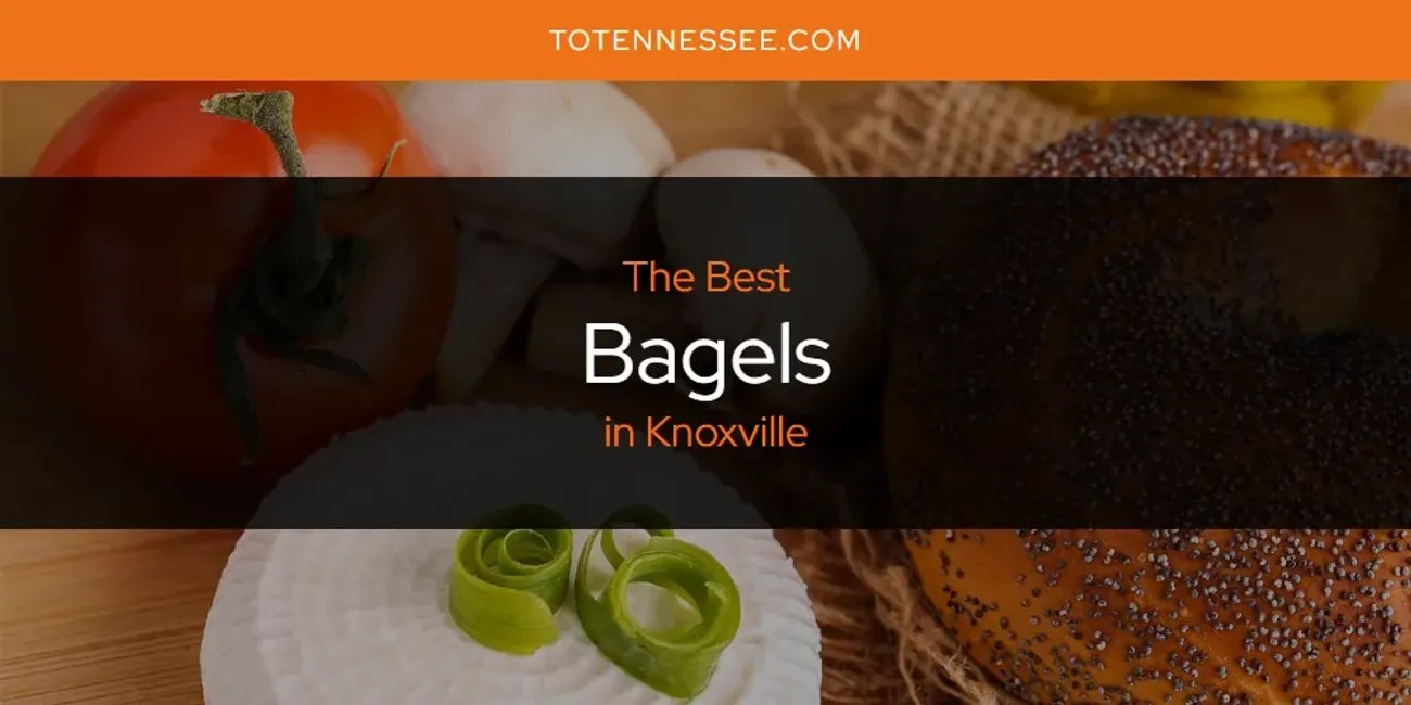 The Absolute Best Bagels in Knoxville [Updated 2024] To Tennessee