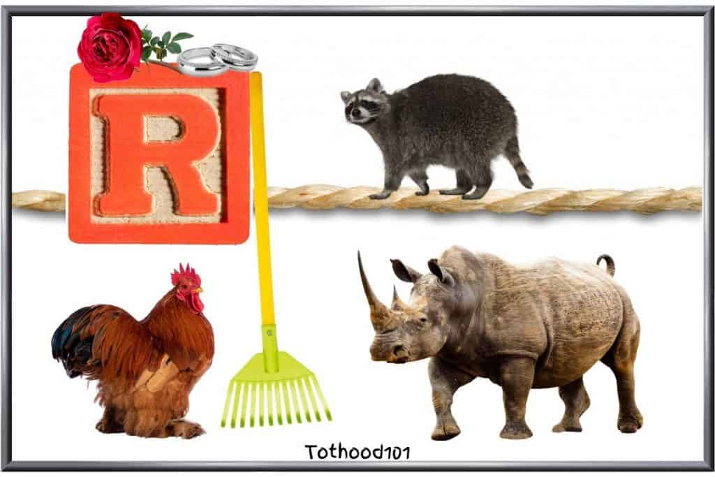 Letter R Preschool Activities - Tothood 101