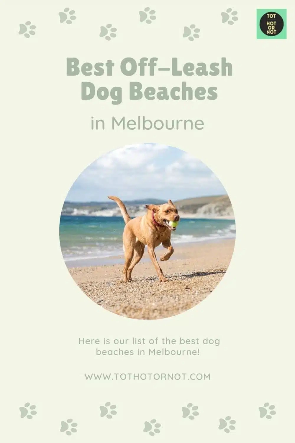 dog water park melbourne fl Janita Ernst