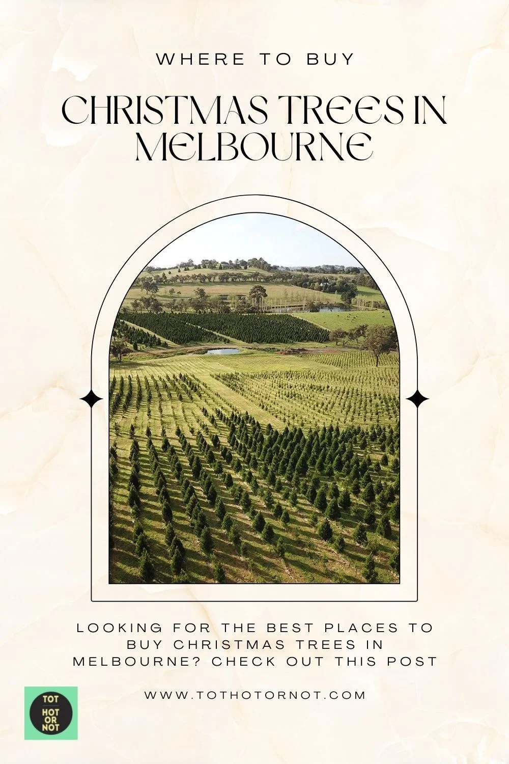 Where to Buy Christmas Trees in Melbourne • TOT HOT OR NOT
