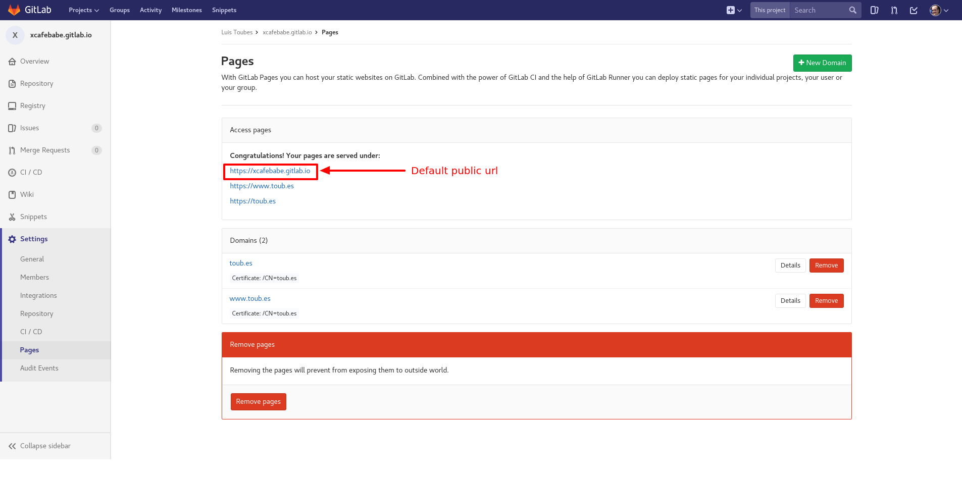 Publish and secure your blog for free using GitLab Pages Luis Toubes