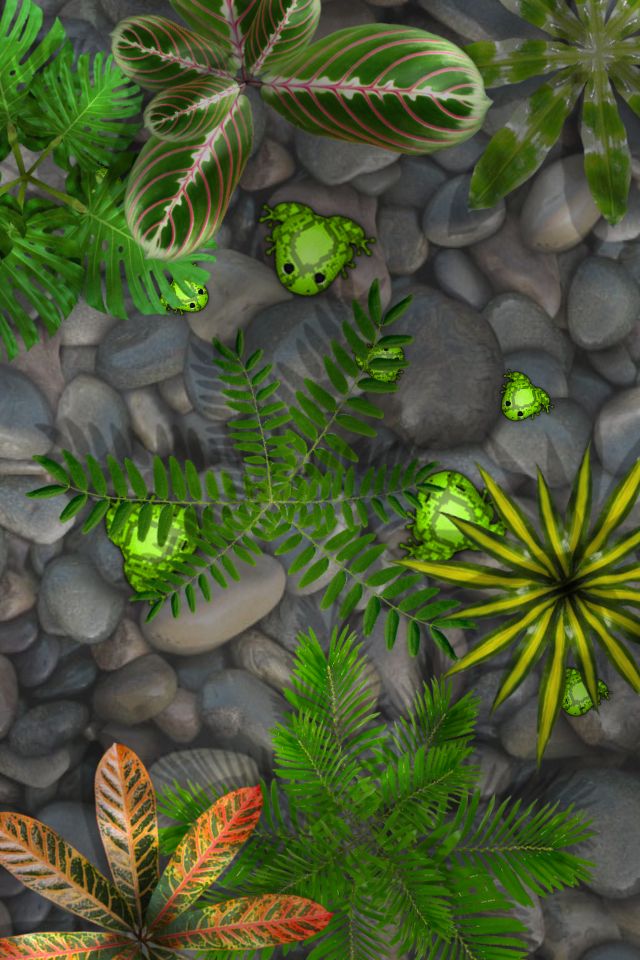 'Pocket Frogs' Review Much Like the Cane Toad in Australia, This Game has Taken Over my
