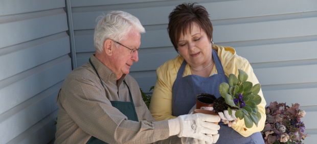 Touching Hearts NY Client Testimonials In Home Care Rochester, NY