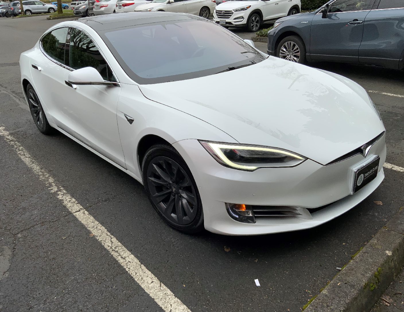 Touch of Class Auto Detail Service Gallery