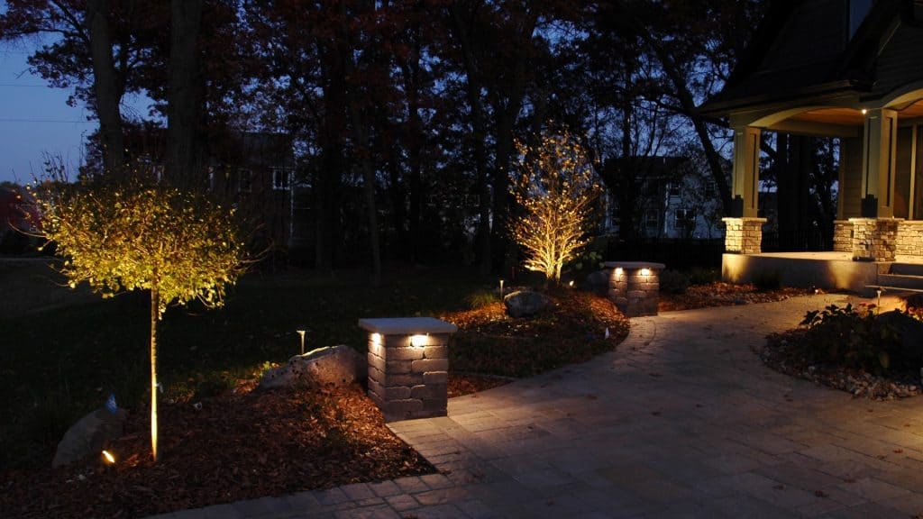 Understanding How to Uplight Trees in Your Landscape