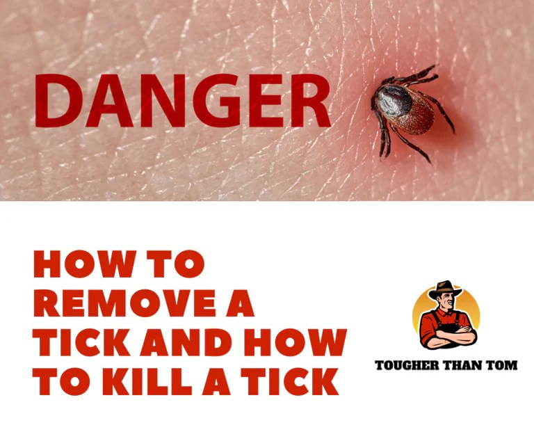 How to Remove a Tick and How to Kill a Tick Tougher Than Tom