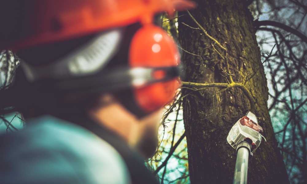 How to Use a Manual Pole Saw? – Tough Saw