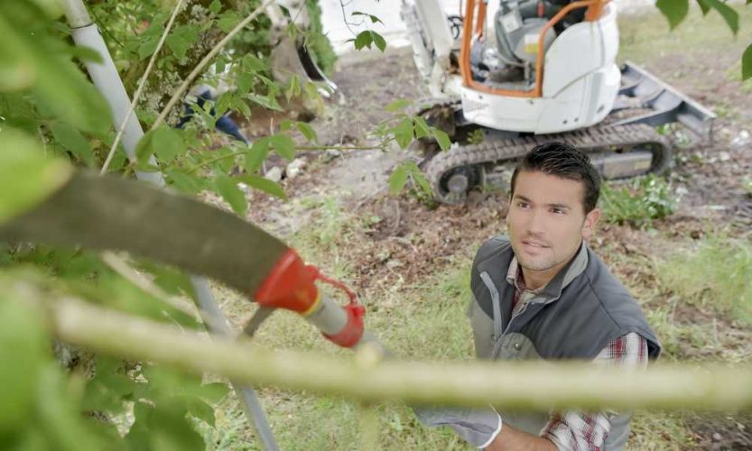 How to Use a Manual Pole Saw? Tough Saw