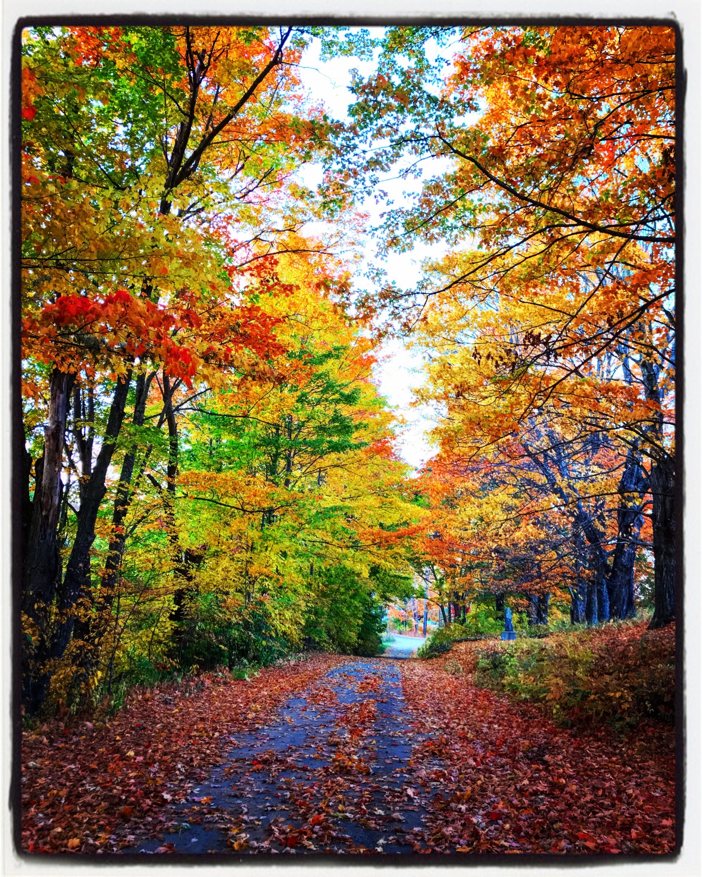 Vermont Fall Foliage Day 1 On the Road in 2022