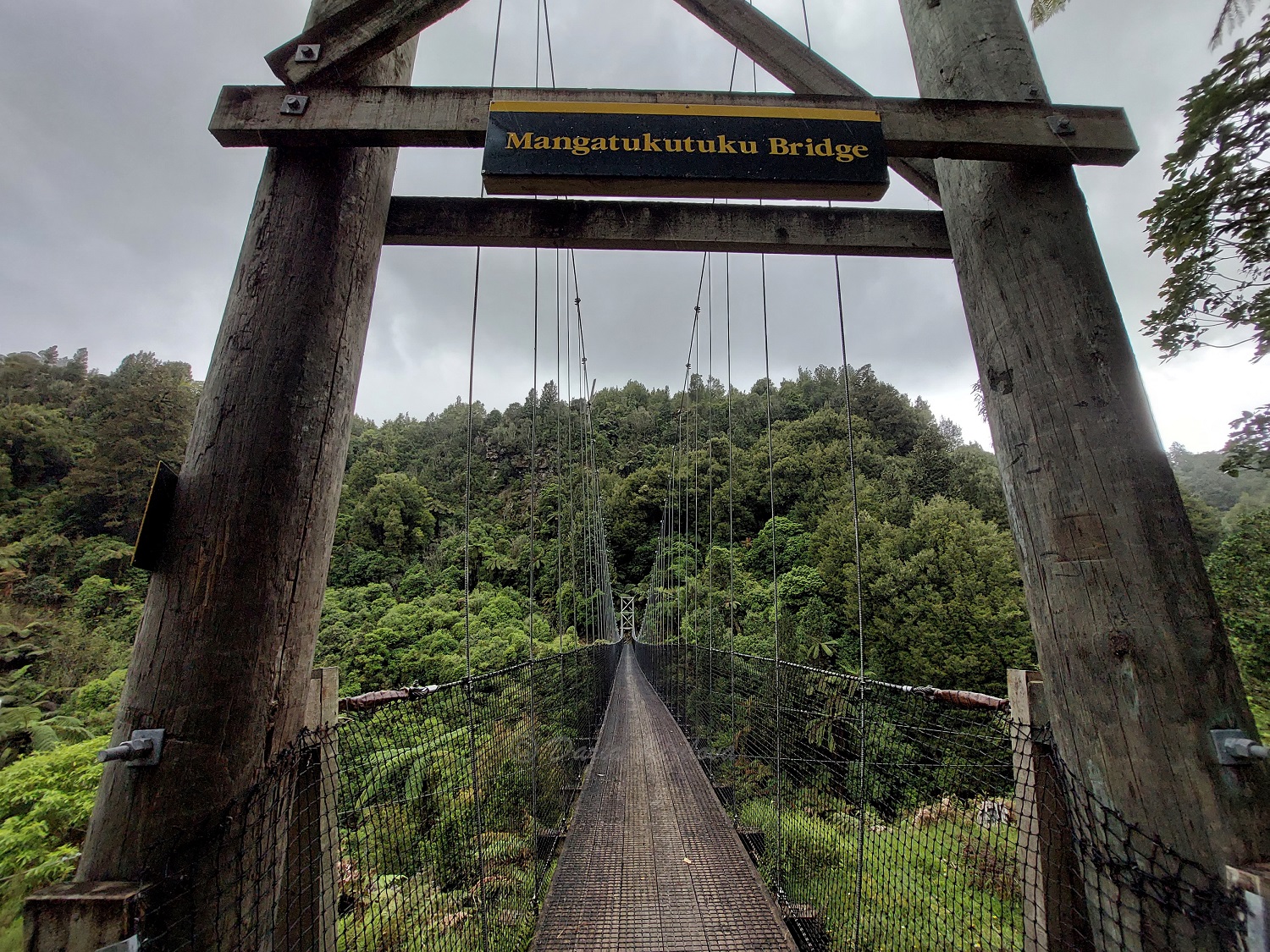 Timber Trail The Greatest Cycle Trail Tour Exótico