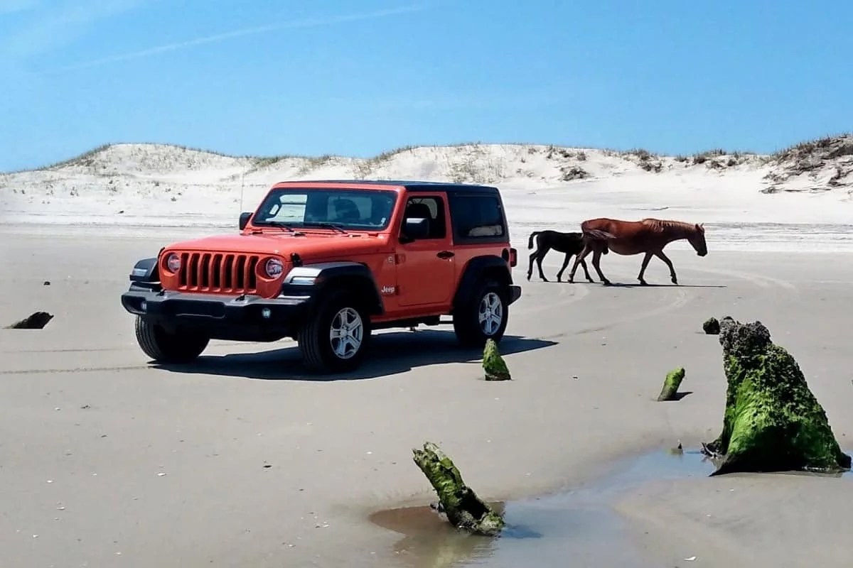 The Best 4WD Jeep Rentals OBX, Tips, And Tricks Tour in